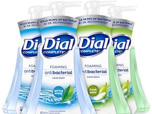 Dial Complete Anti-bacterial Foaming Hand Wash